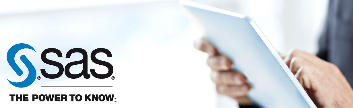 SASslide2